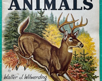 How To Draw & Paint Hoofed Animals Walter J Wilwerding VTG Walter Foster SC Book