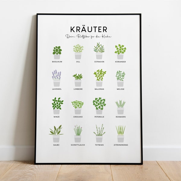 Poster: Küchenkräuter illustriert, grün