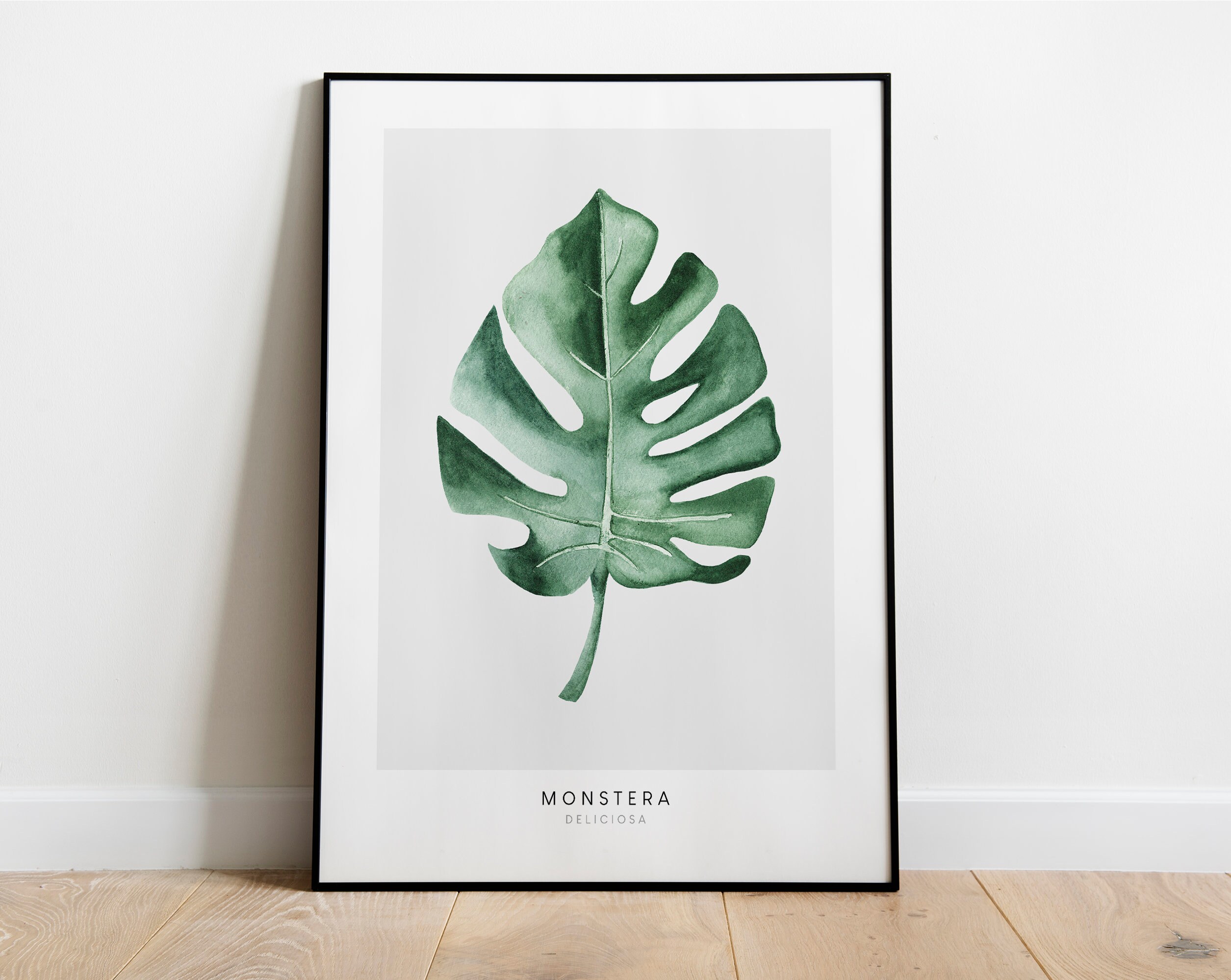 black cardinal philodendron 5.39