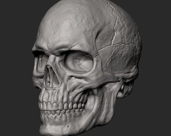 Limited Stock Male Skull 3D print model stl, obj, ztl, Files Instant Download