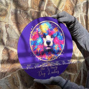 Puede incluir: Estante decorativo redondo morado con una ilustración de caniche colorida. El caniche tiene un diseño de pelaje de colores del arcoíris. El texto "The Crazy Dog Ladies" está impreso en el estante. El estante es sostenido por una persona con guantes grises.