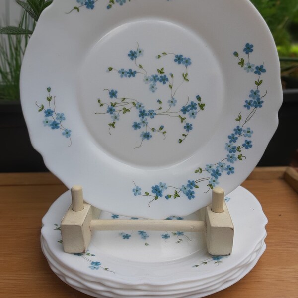 Assiettes - ARCOPAL - motif fleurs bleues - véronica - myosotis - années 70 - Made in france