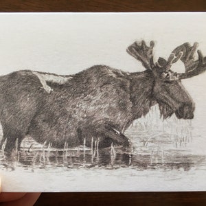 Moose card 3 (sm)