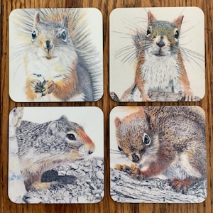 Squirrel coasters