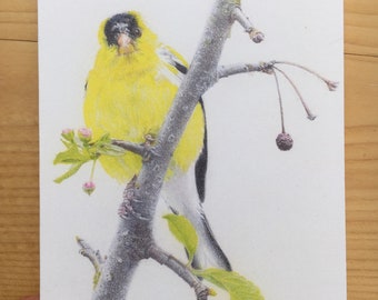 Goldfinch card (lg+sm)