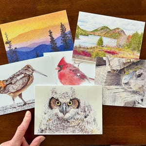 Any 6 large cards - your choice