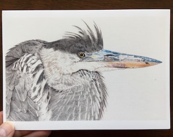 Great Blue Heron card (lg+sm)