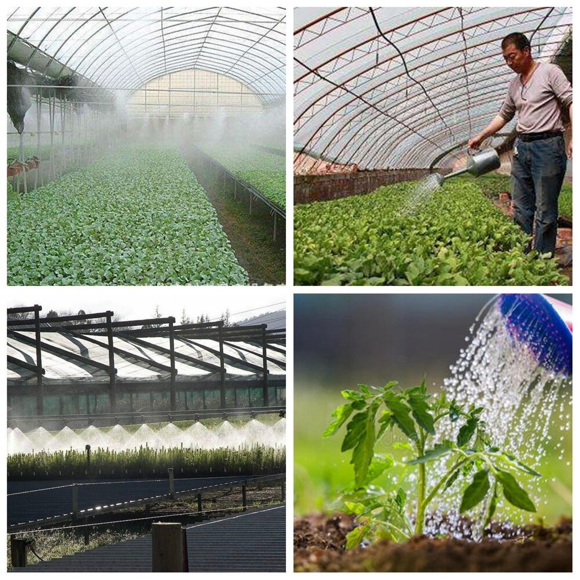 Special Fertilizer For Watermelon Melon Pumpkin Cantaloupe Etsy