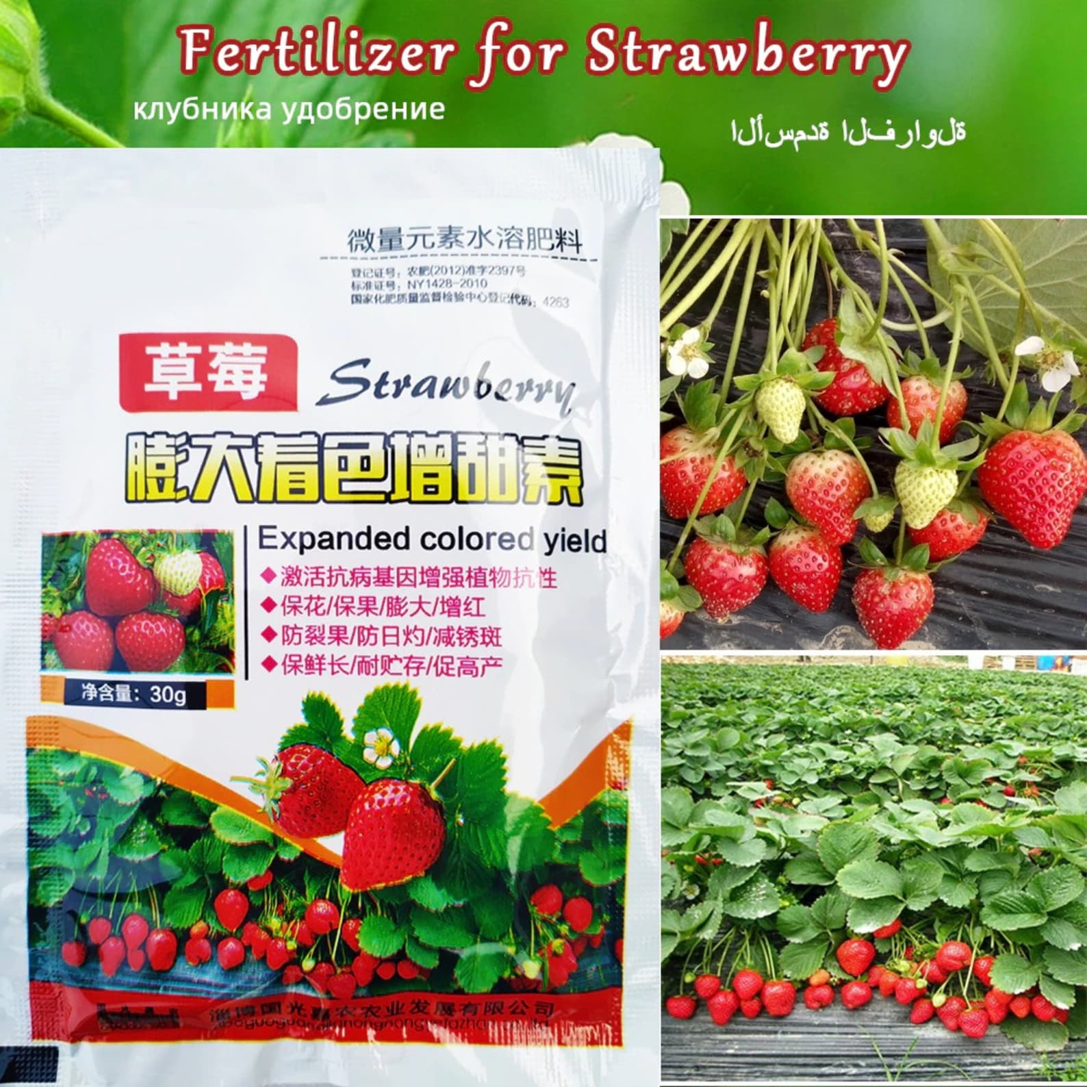 Special Strawberry Fertilizer Supplemental Plant Nutrition Etsy