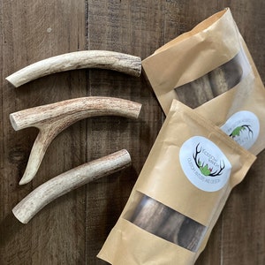 Small Antler Dog Chews
