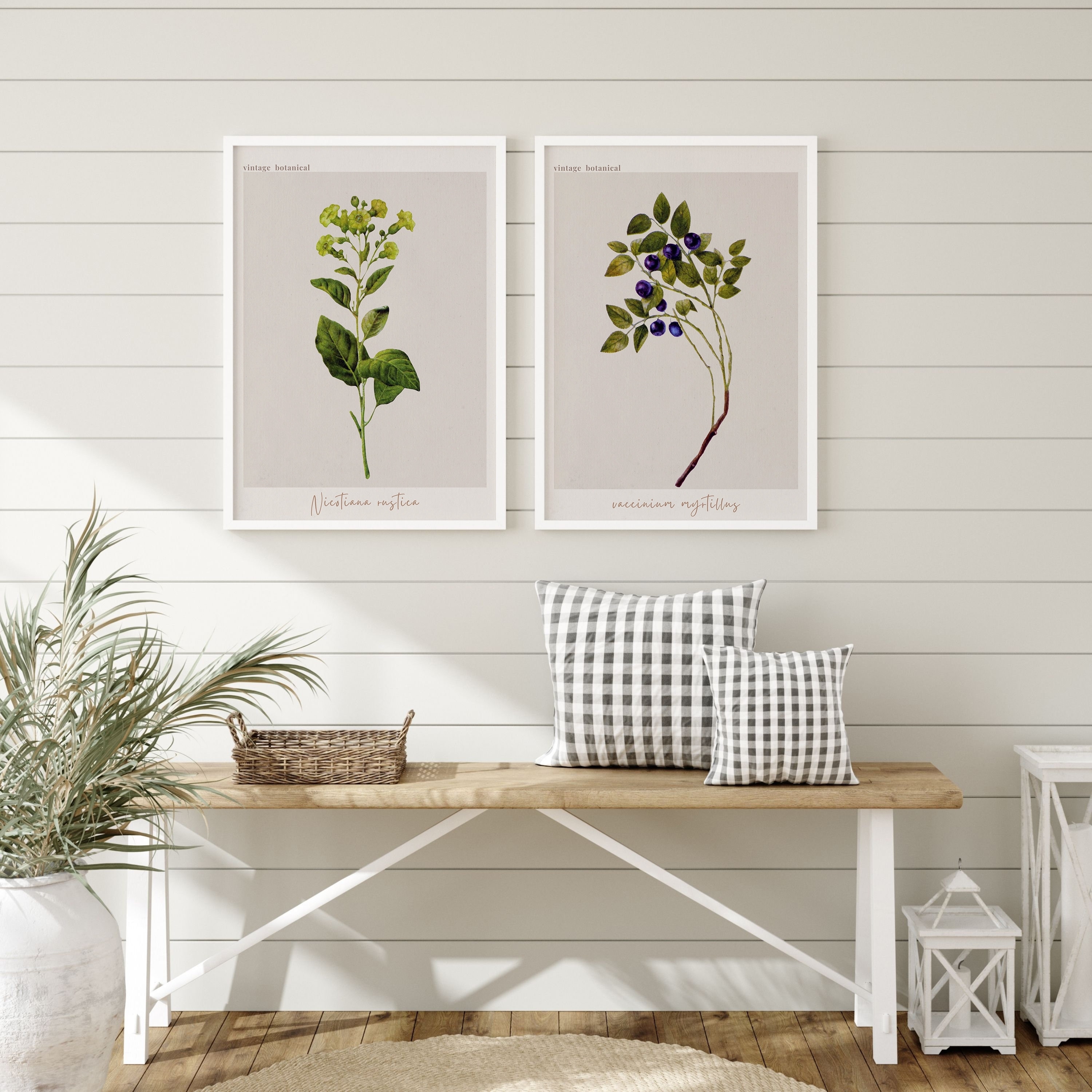 Botanical Wall Art Prints Set 12 Botanical Art Prints Etsy Uk