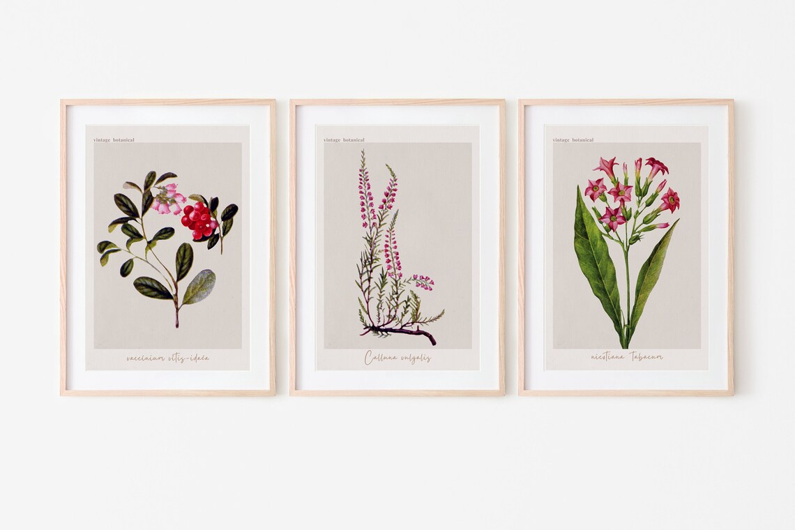Botanical Wall Art Prints Set 12 Botanical Art Prints Etsy UK