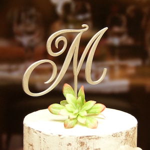 Individual Letter Cake Toppers, Single Letter Cake Topper, Alphabet Cake  Topper, Custom Cake Topper, Acrylic Cake Letters 