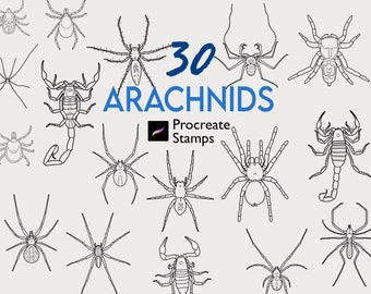30 Procreate Arachnids Stamps Arachnid Brush Procreate Tattoo Insect Stamp Araignée Brosses Scorpion Tattoo Design Art Poison Horror Stamp