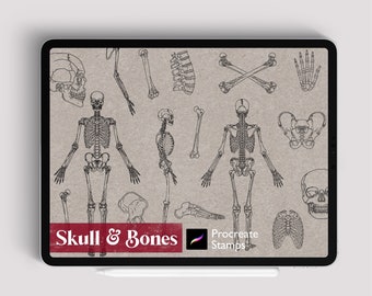 25+ Procreate Skull Bones Stamps Brush Procreate Skeleton Tattoo Stamps Pro create Skull Stamp Human Anatomy Brush Limb Hand Leg Hand Drawn