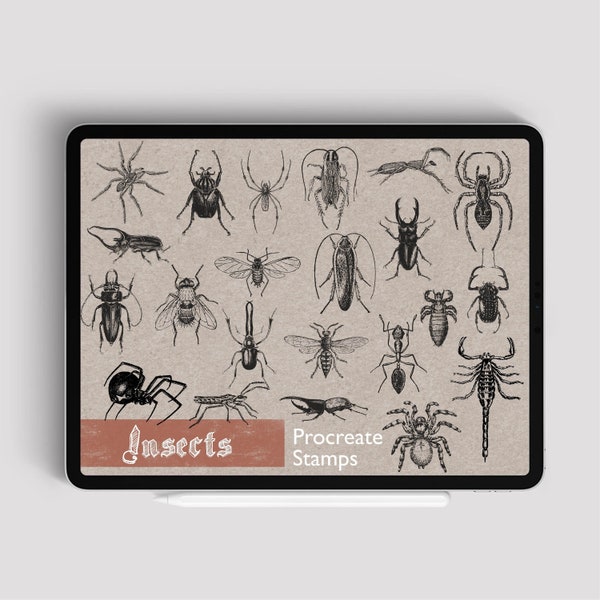 45 Procreate Insects Stamps, Insect Brushes, Procreate Tattoo Stamp, Insect Tattoo Stamps, Witch Tattoo Spider Ant Termite Vintage Design