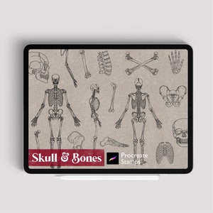 25+ Procreate Skull Bones Stamps Brush Procreate Skeleton Tattoo Stamps Pro create Skull Stamp Human Anatomy Brush Limb Hand Leg Hand Drawn