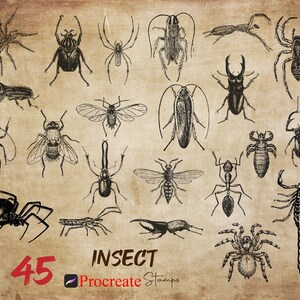 May include: A vintage-style illustration featuring various insects, including spiders, beetles, and ants. The image has a sepia tone and includes the number "45" in red, along with the word "INSECT" and "Procreate Stamps".