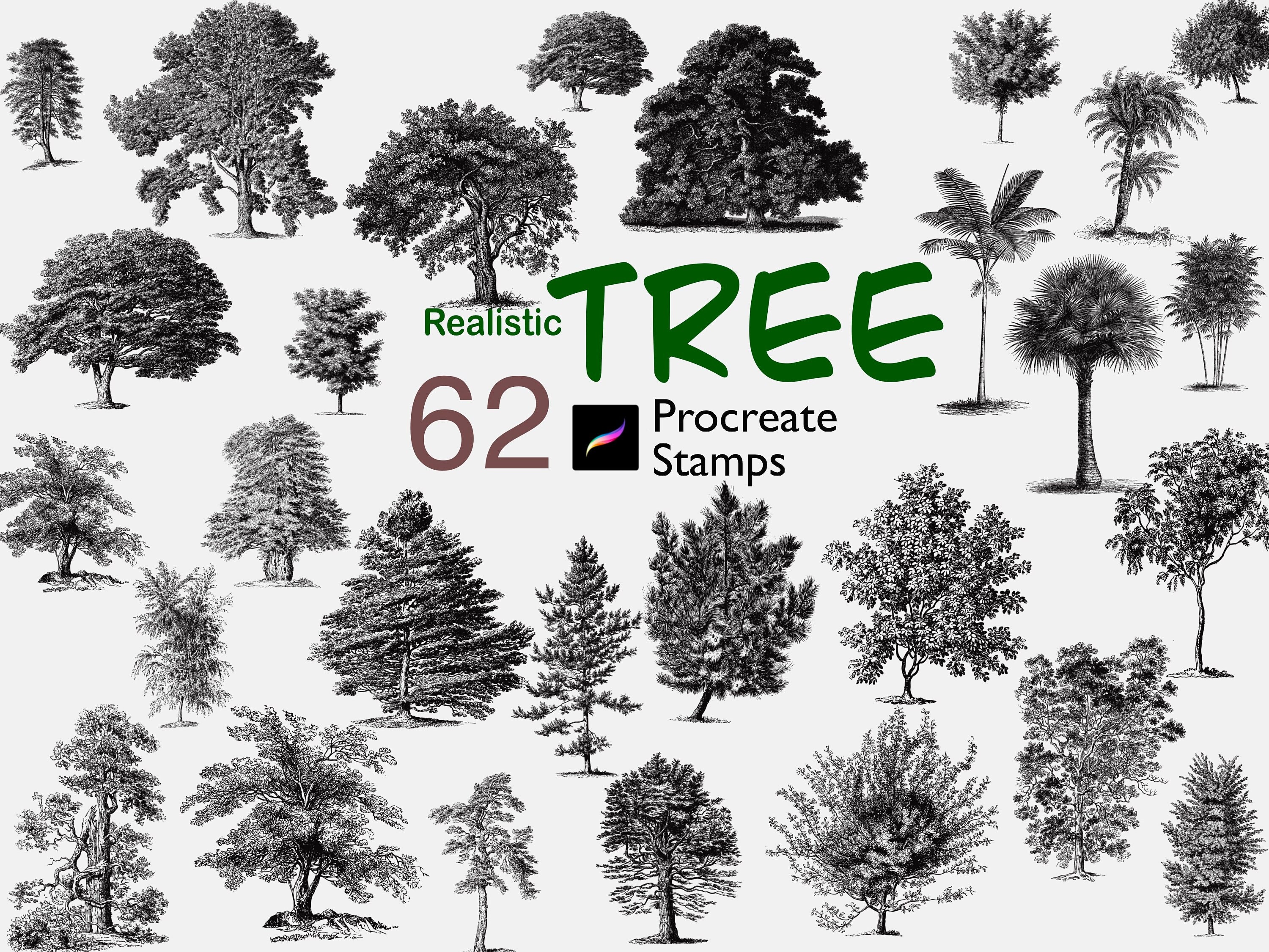 Procreate tree sale brushes