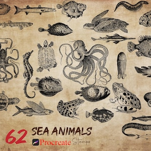 Procreate Sea Animals Stamps Procreate Sea Life Stamps Procreate Underwater Stamp Procreate Realistic Fish Octopus Eel Frog Turtle Seahorse