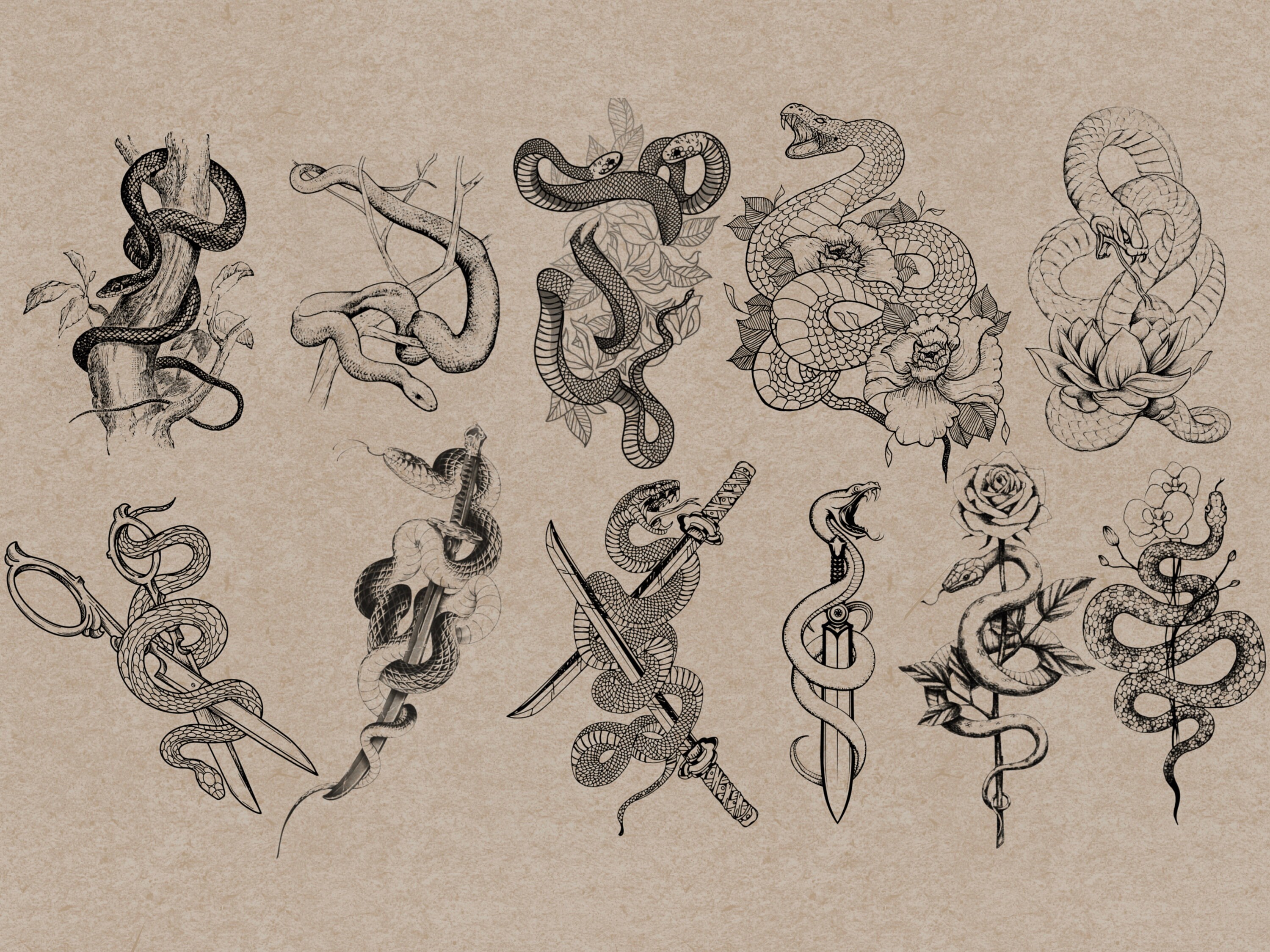100 Realistic Snake Procreate Stamps: Tattoo & Horror Brushes (digital ...