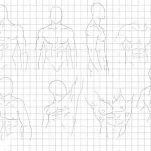 May include: Line drawing of a male torso in various poses, showing the muscles of the chest, abdomen, and back. The drawings are on a gridded background.