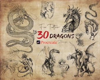 30 Procreate Dragons Stamps, Dragons For Tattoo, Dragon Brushes, Procreate Legendary Creature, Procreate Mythical Monsters