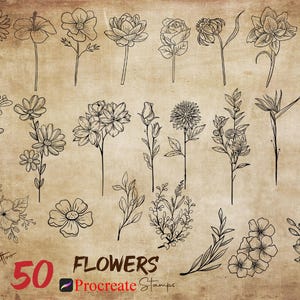 Procreate Flowers Stamps Procreate Line Art Flower Stamp Procreate Minimalist Tattoo Stamps Procreate Flower Tattoo Floral Botanical Plants