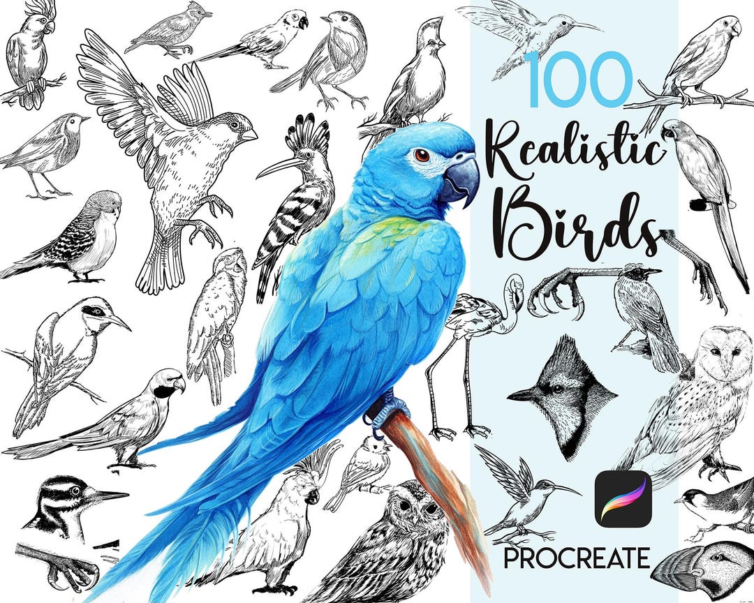 Procreate Bird Stamp : Realistic Tattoo Designs Vintage Art Parrot ...