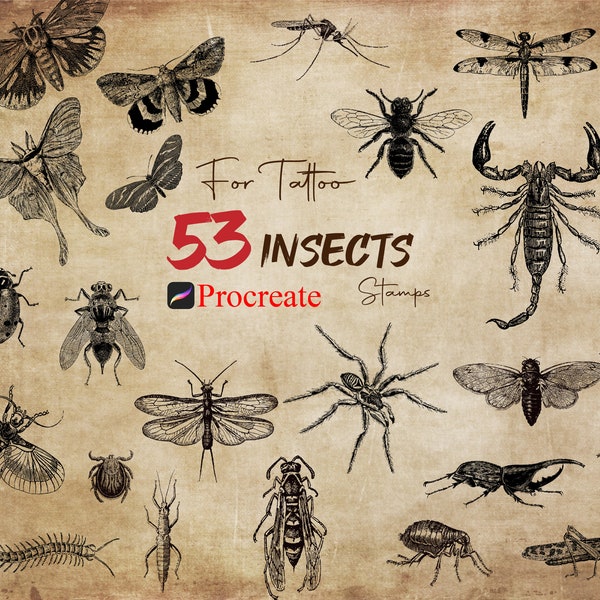 53 Procreate Insects Stamps, Realistic Insect For Tattoo, Butterfly Stamps, Procreate Bug Stamp, Procreate Fly Brushes, Insects Bundle