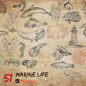Procreate Marine Life Stamps Procreate Marine Animals Stamps Procreate Sea Animals Procreate Underwater Life Ocean World Fish Starfish Brush