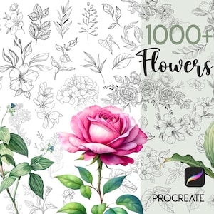 Procreate Flowers Stamps Procreate Leaves Stamp Procreate Flower Tattoo Procreate Minimal Tattoo Procreate Floral Leaf Rose Crisp Peony