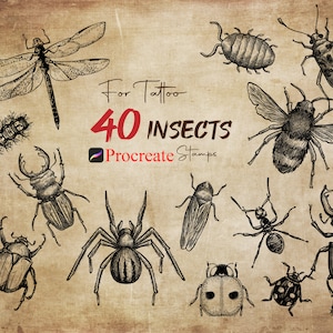 40 Procreate Insects Stamps, Insects For Tattoo, Insect Brushes, Procreate Bug Stamps, Procreate Beetle Brushes, Procreate Realistic Insects
