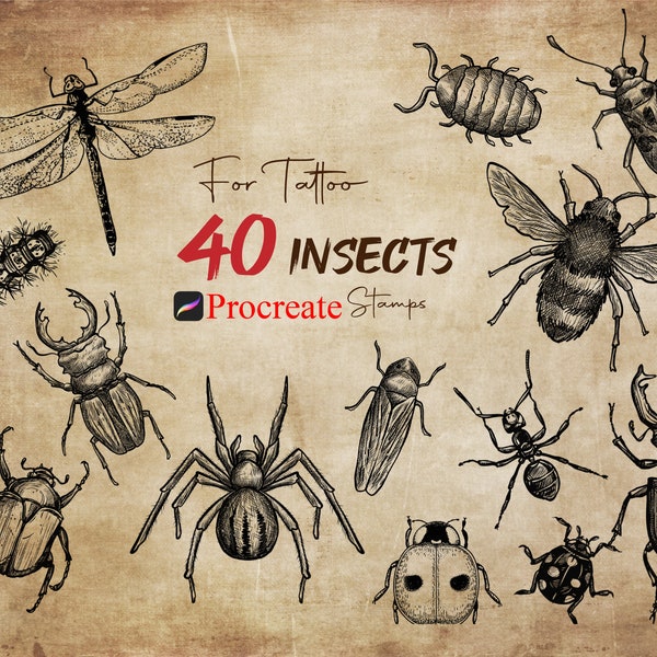 40 Procreate Insekten Stempel, Insekten für Tattoo, Insektenbürsten, Procreate Bug Stempel, Procreate Käfer Bürsten, Procreate Realistische Insekten