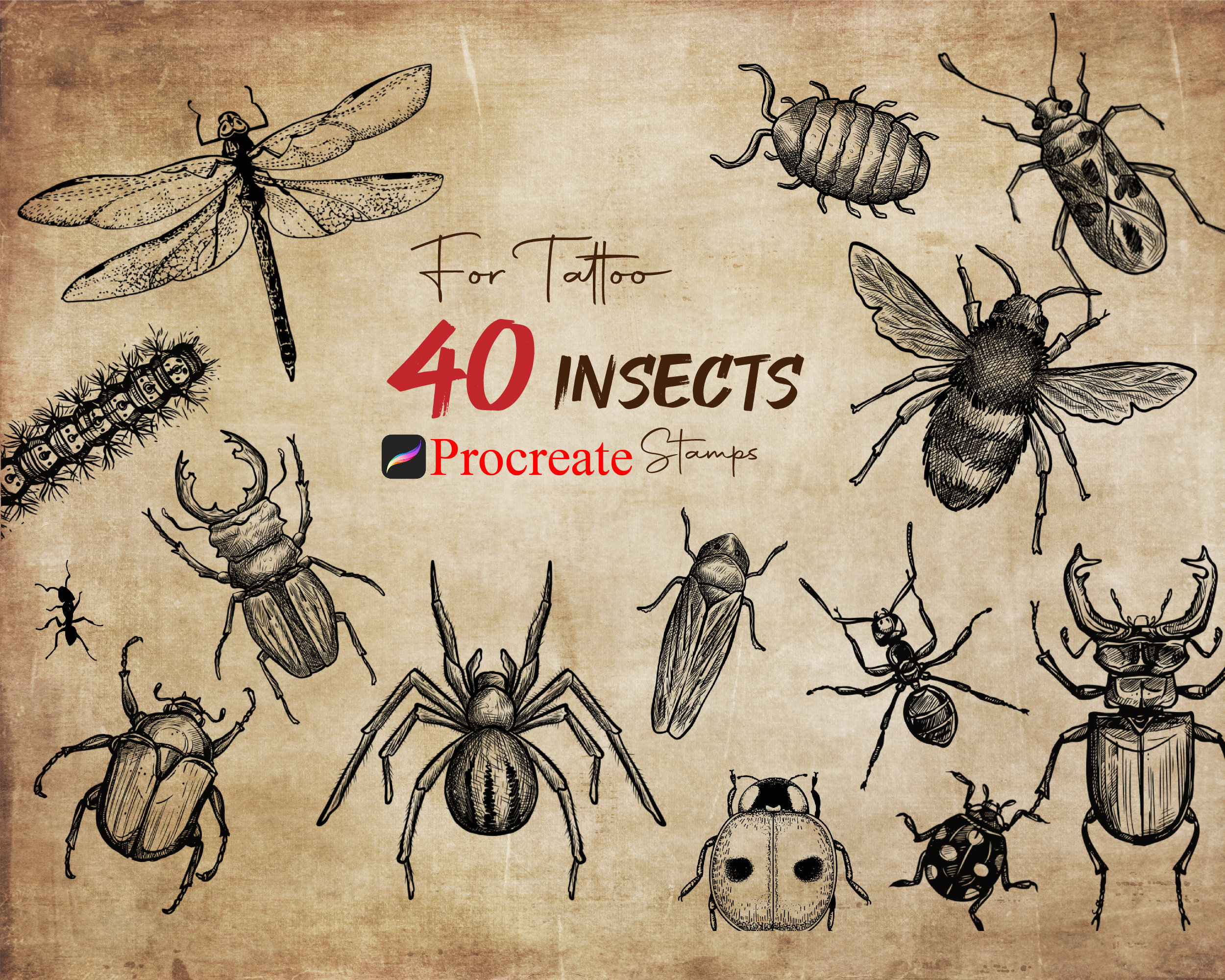 40 Procreate Insect Stamp Brushes – Realistic Bug & Beetle Stamps for Tattoo, Illustration & Lettering