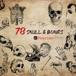 78 Procreate Skull And Bones Stamps, Skull For Tattoo, Animal Skull Stamp, Human Bones Stamps, Witch Brushes, Horror Tattoo Stamps