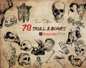 Procreate Skull Bones Stamps : Tattoo Traditional Linework Medieval Witch Brushes