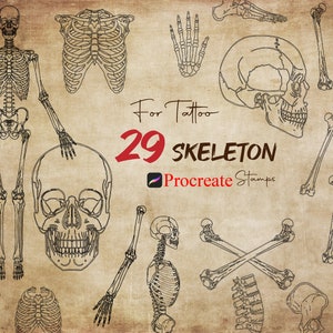 Procreate Skeleton Stamps Procreate Human Bones Stamp Procreate Realistic Human Anatomy Procreate Skull Procreate Gothic Witch Horror Tattoo