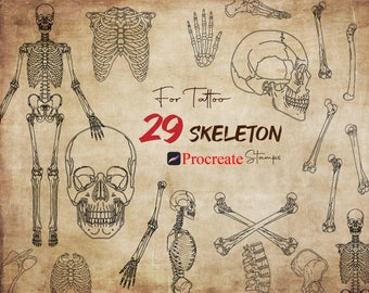May include: A set of 29 Procreate stamps featuring various skeletal elements, including a full skeleton, skull, ribcage, and individual bones. The stamps are designed for tattoo artists and are perfect for adding a touch of anatomical detail to your artwork.