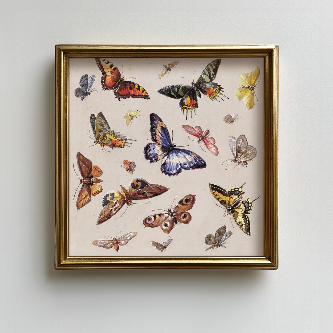 Antique Butterfly and Moth Wall Decor, Matte Art Print Reproduction ...