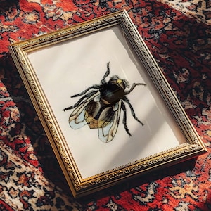 Bee / Single Bumble Bee, Vintage Fine Art Print Reproduction in Small Gallery Wall Sizes