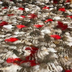 Luxury feathered lece fabric by the yard Dusty Rosepink Ex\u00f3tico