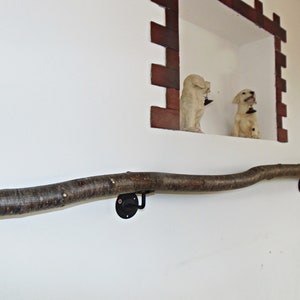 Pasamanos de tronco de avellana silvestre, pasamanos de pared, pasamanos de escalera, pasamanos de pared, pasamanos urbanos, soporte de pasamanos, pasamanos seguro