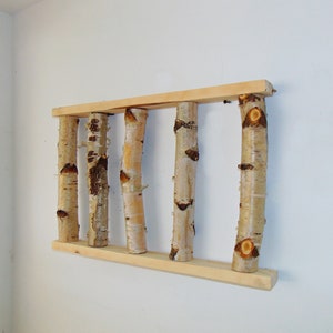 White birch,forest,wall art,, Birch Wall display shelf, Framed Birch Art,vintage wall,birch branches, Modern,Rustic Decor, Birch log,tree