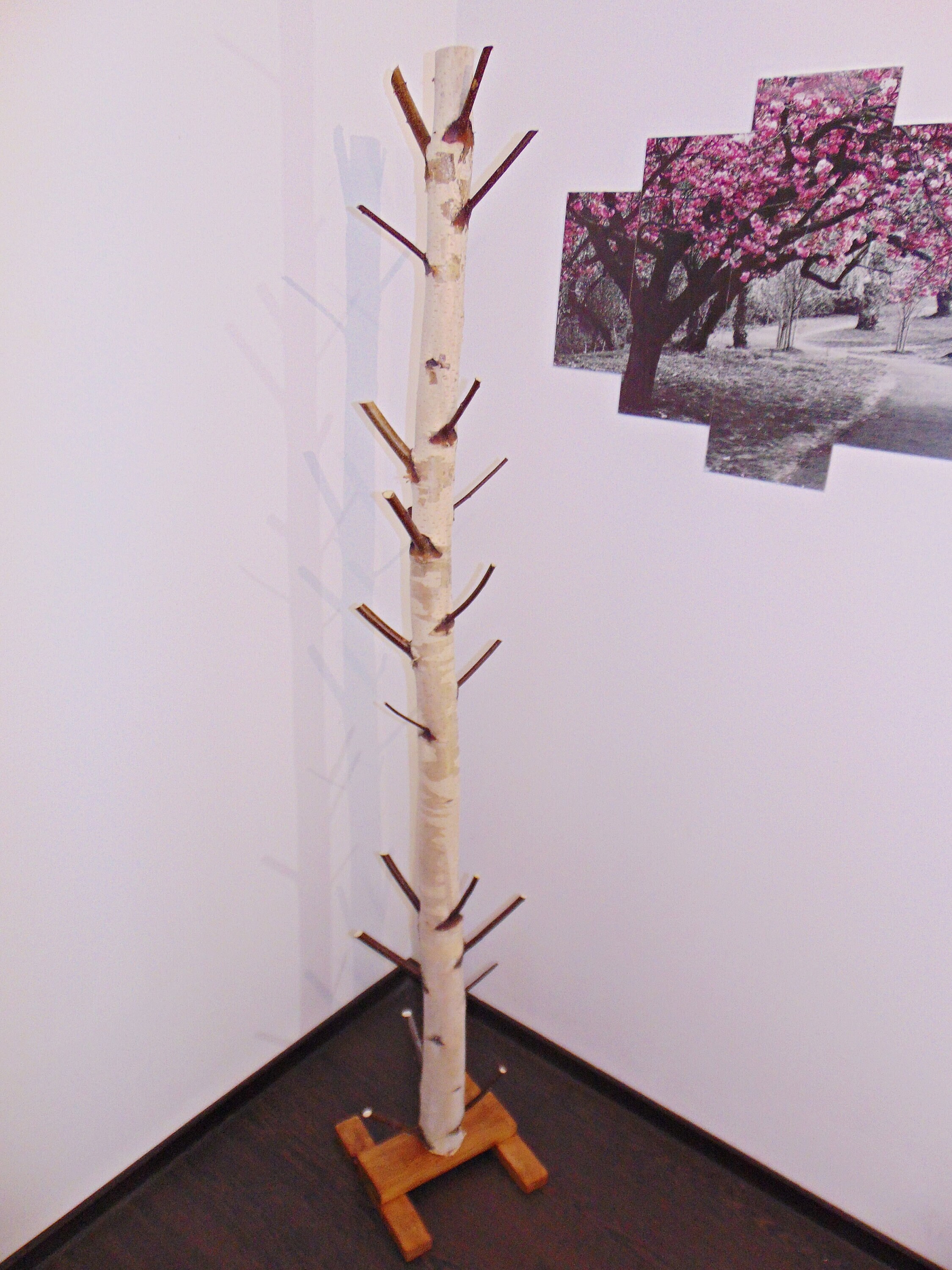Custom Birch Tree,birchwood Hooks,free Stand Birch Coat Rack,real Birch ...