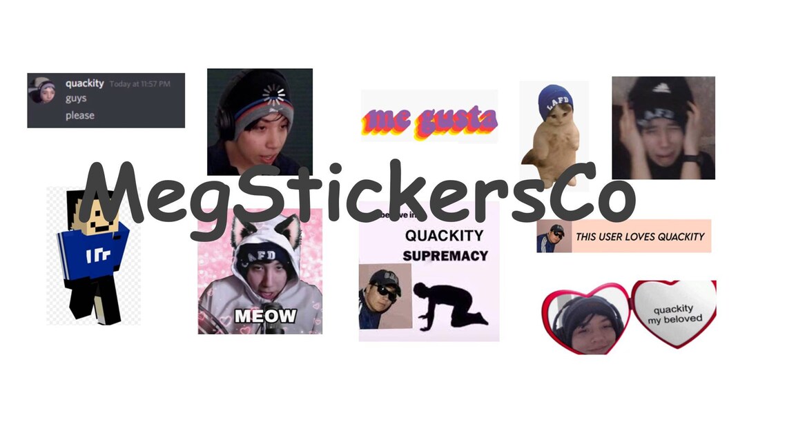 10 Quackity Stickers Etsy