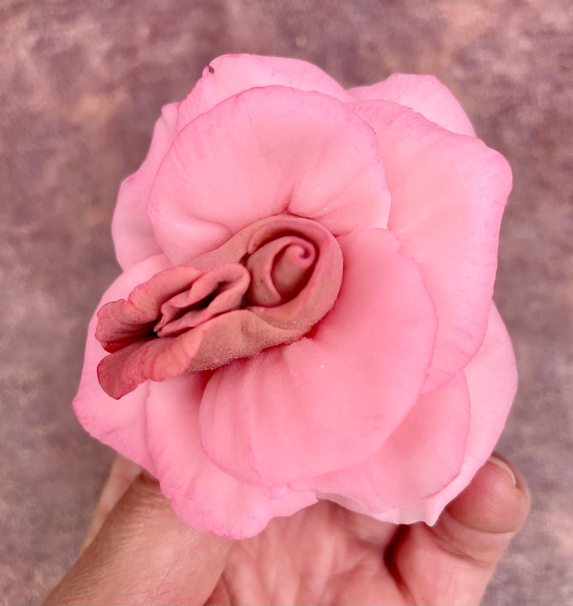 Yoni Silicone Mold. Vulva Rose Mold. Vagina Mold. Etsy