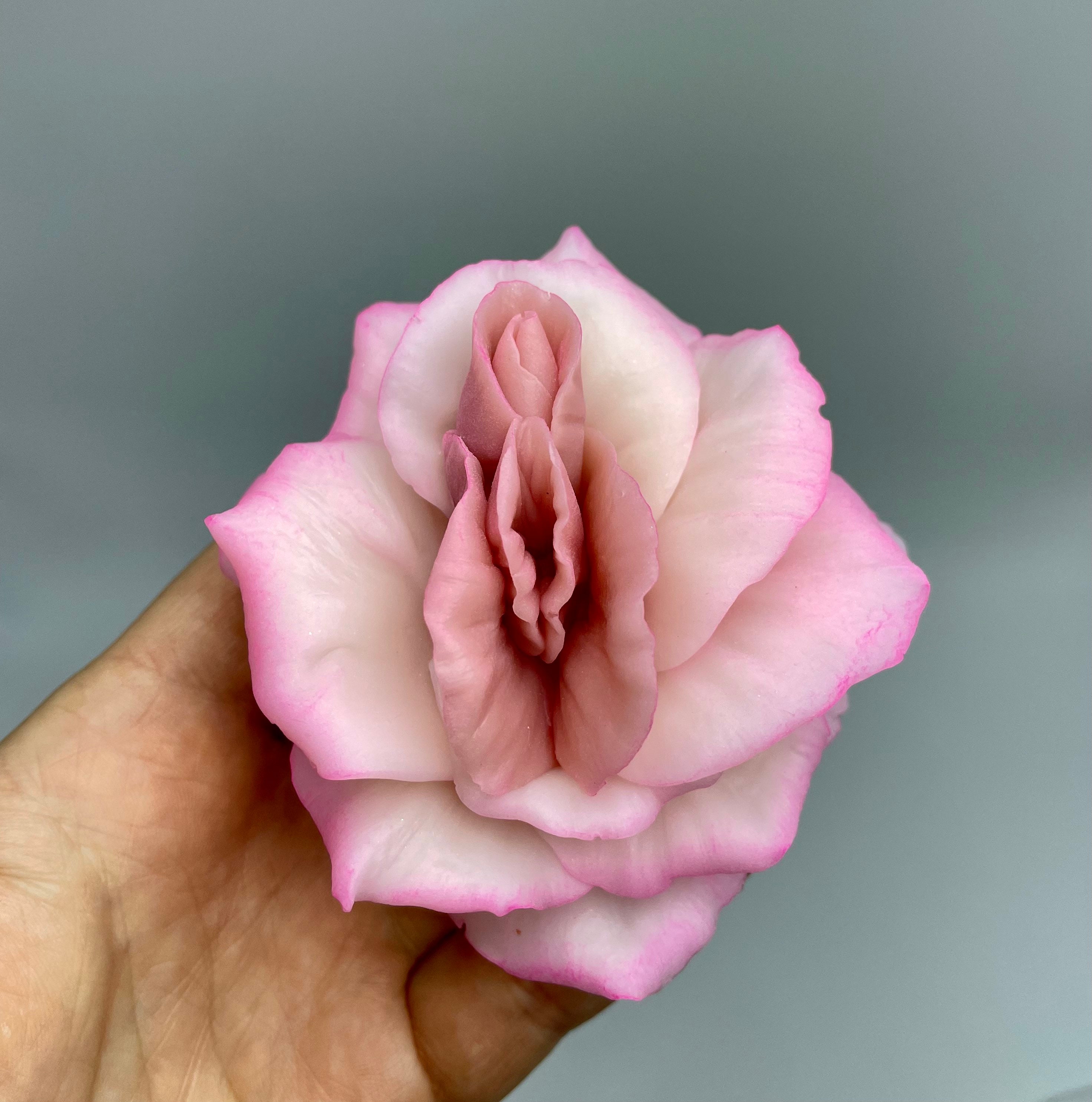 Bourgogne et jura. L'urinoir rose en silicone médical est