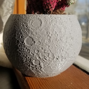 Maceta Moon Planter