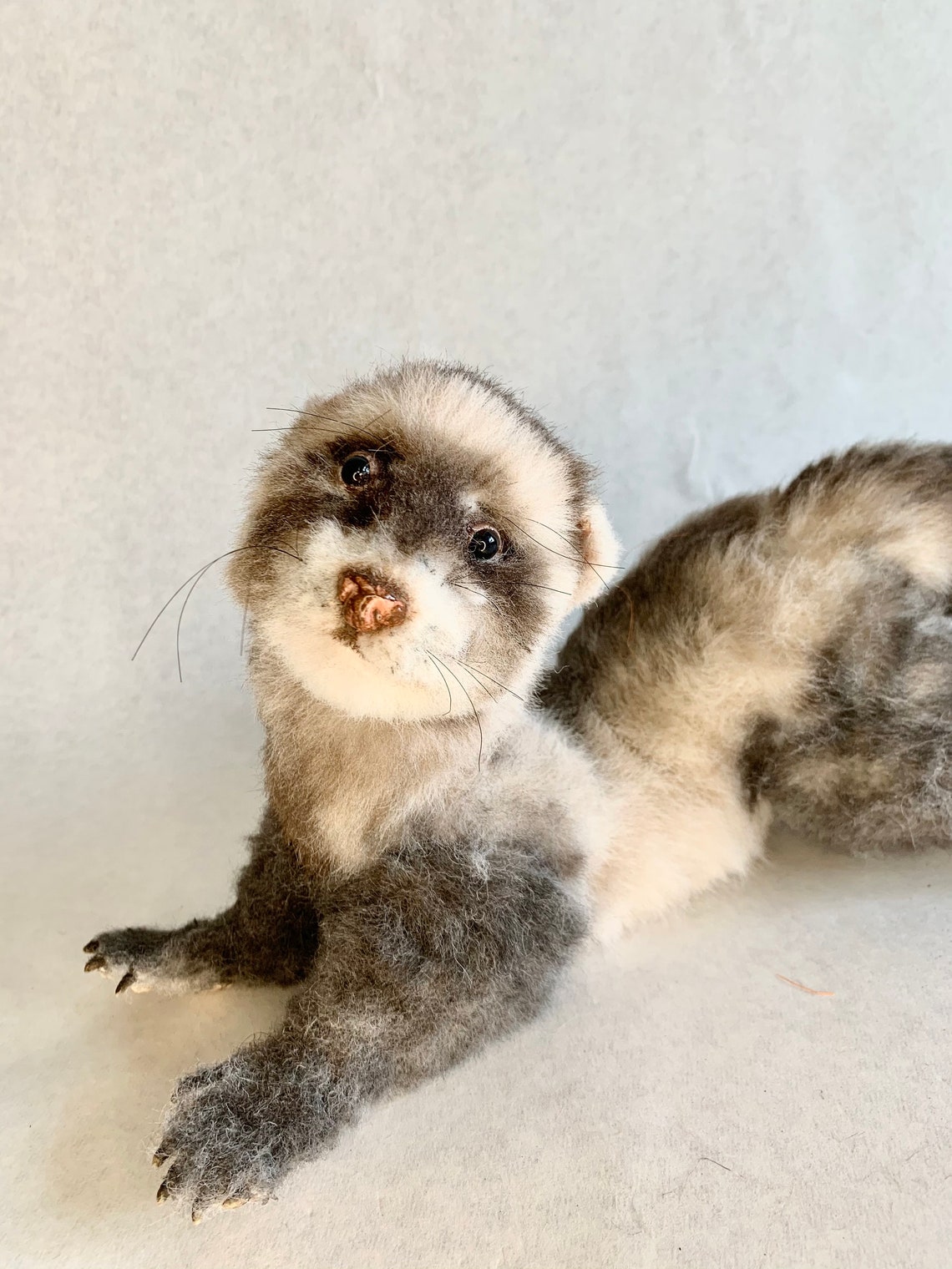 cuddly ferret toy